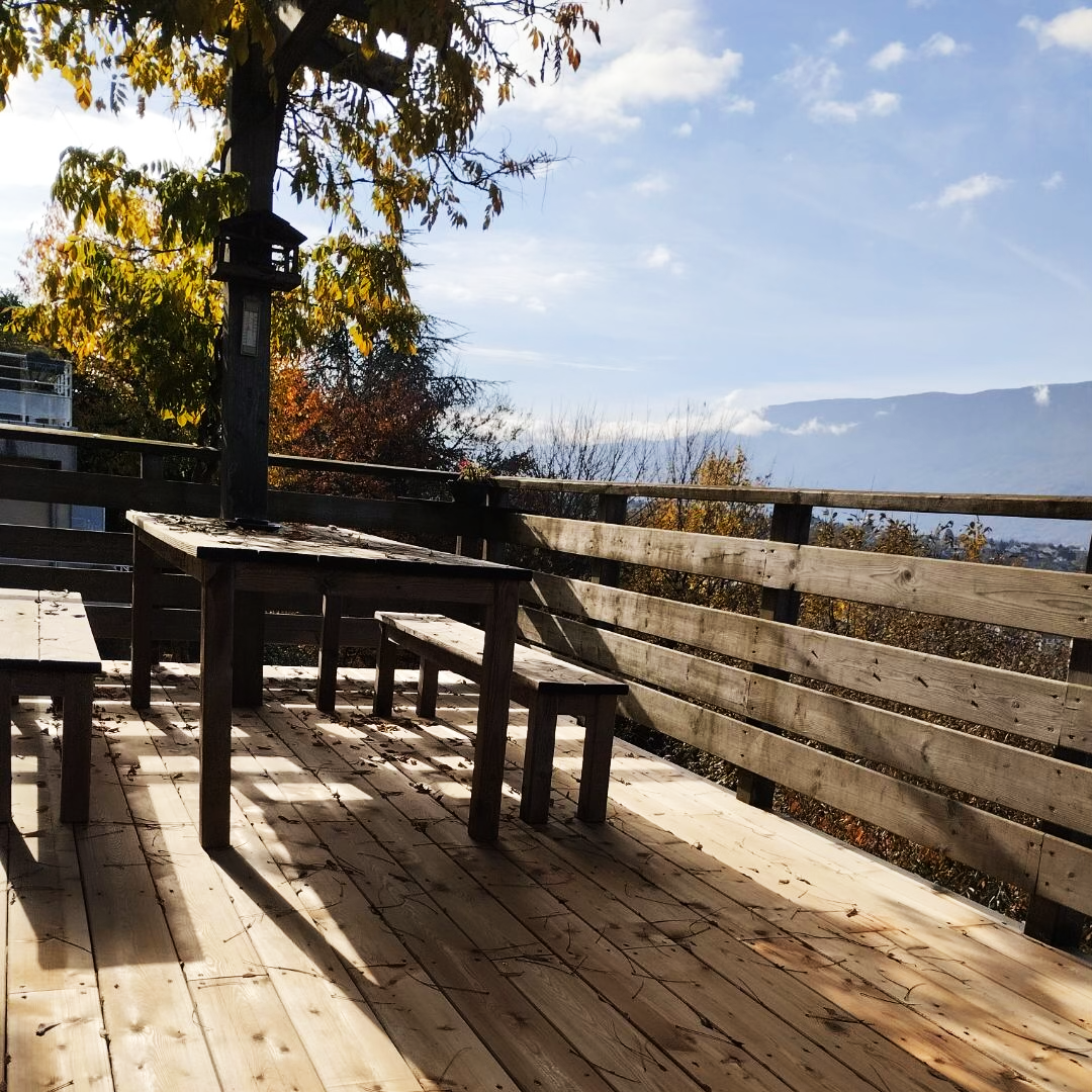 art-et-couverture-terrasse-en-bois-meleze-savoie-haute-savoie_2